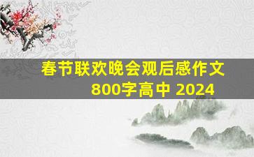 春节联欢晚会观后感作文800字高中 2024